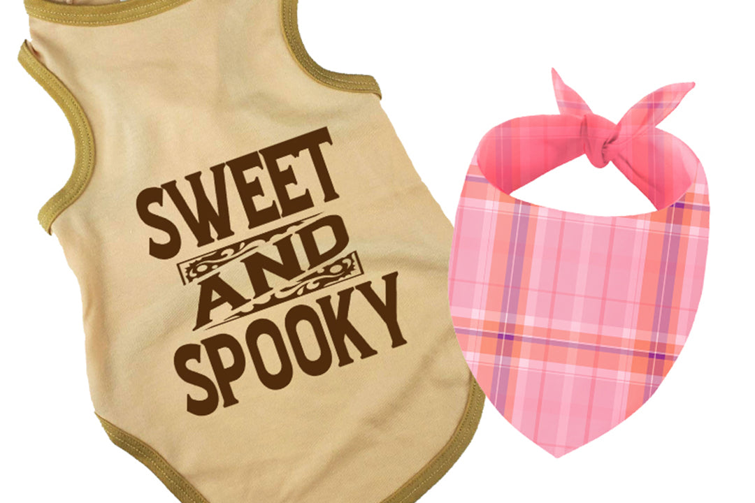 Halloween Dog Bandana Costume | Sweet & Spooky